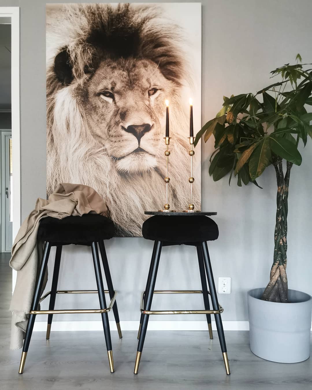 Canvastavla - Lion King
