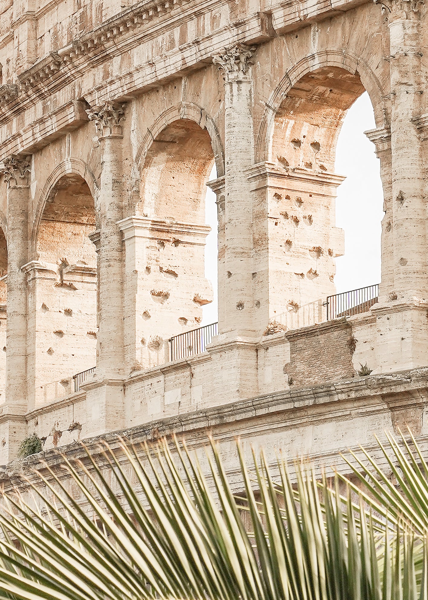 Canvastavla - Colosseo