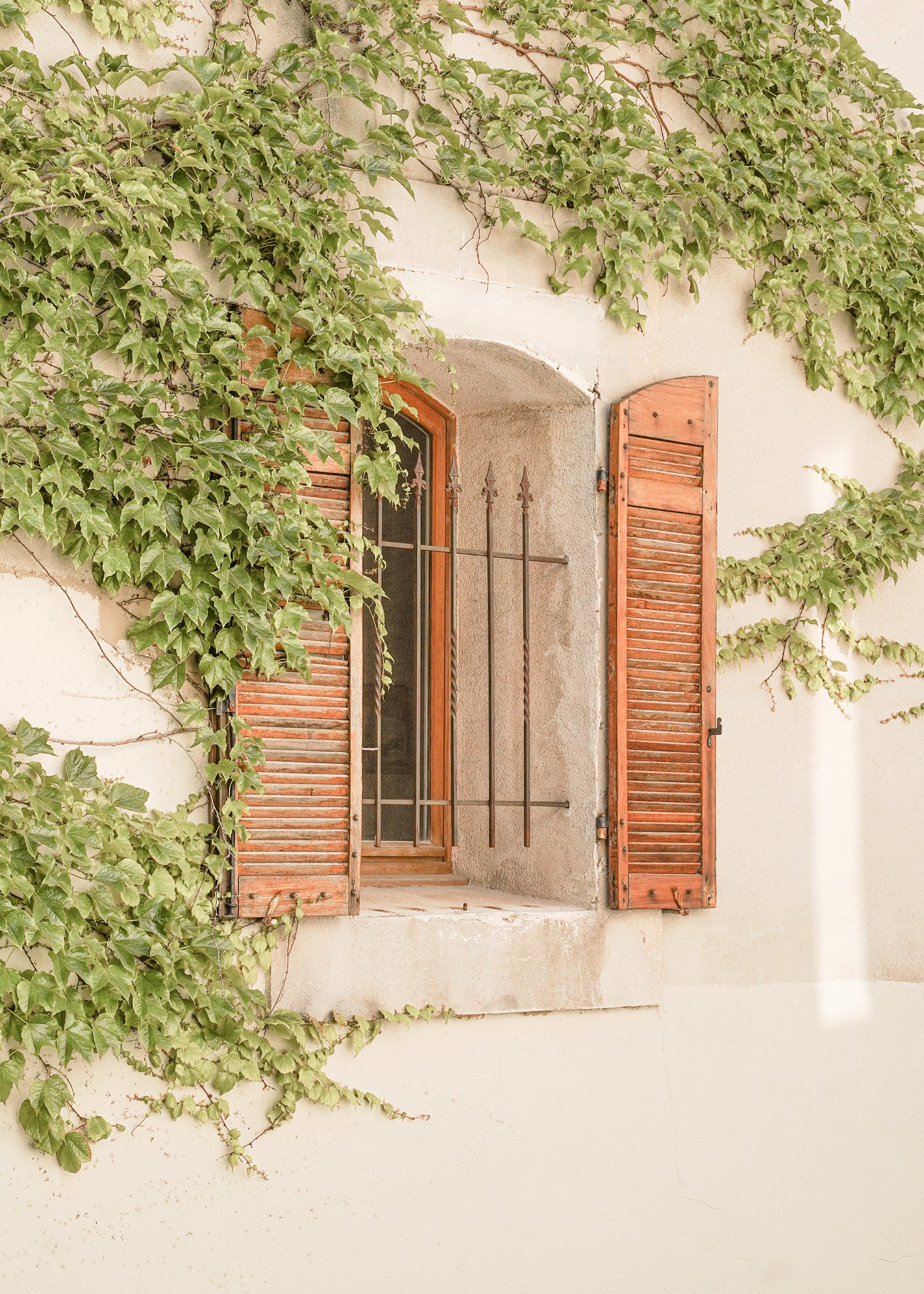 Canvastavla - Verdant Window