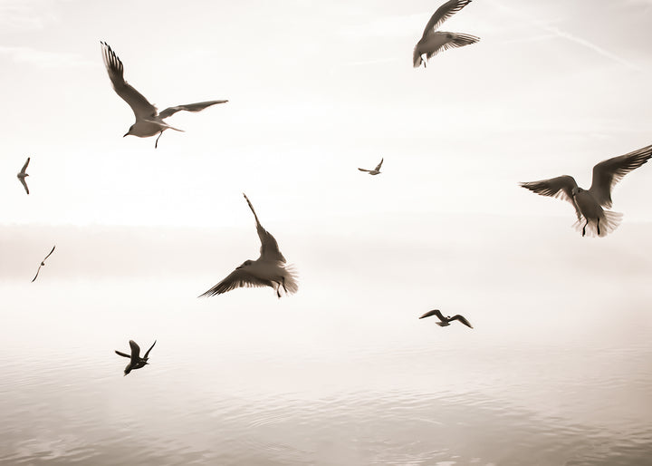 Canvastavla - Birds of Freedom