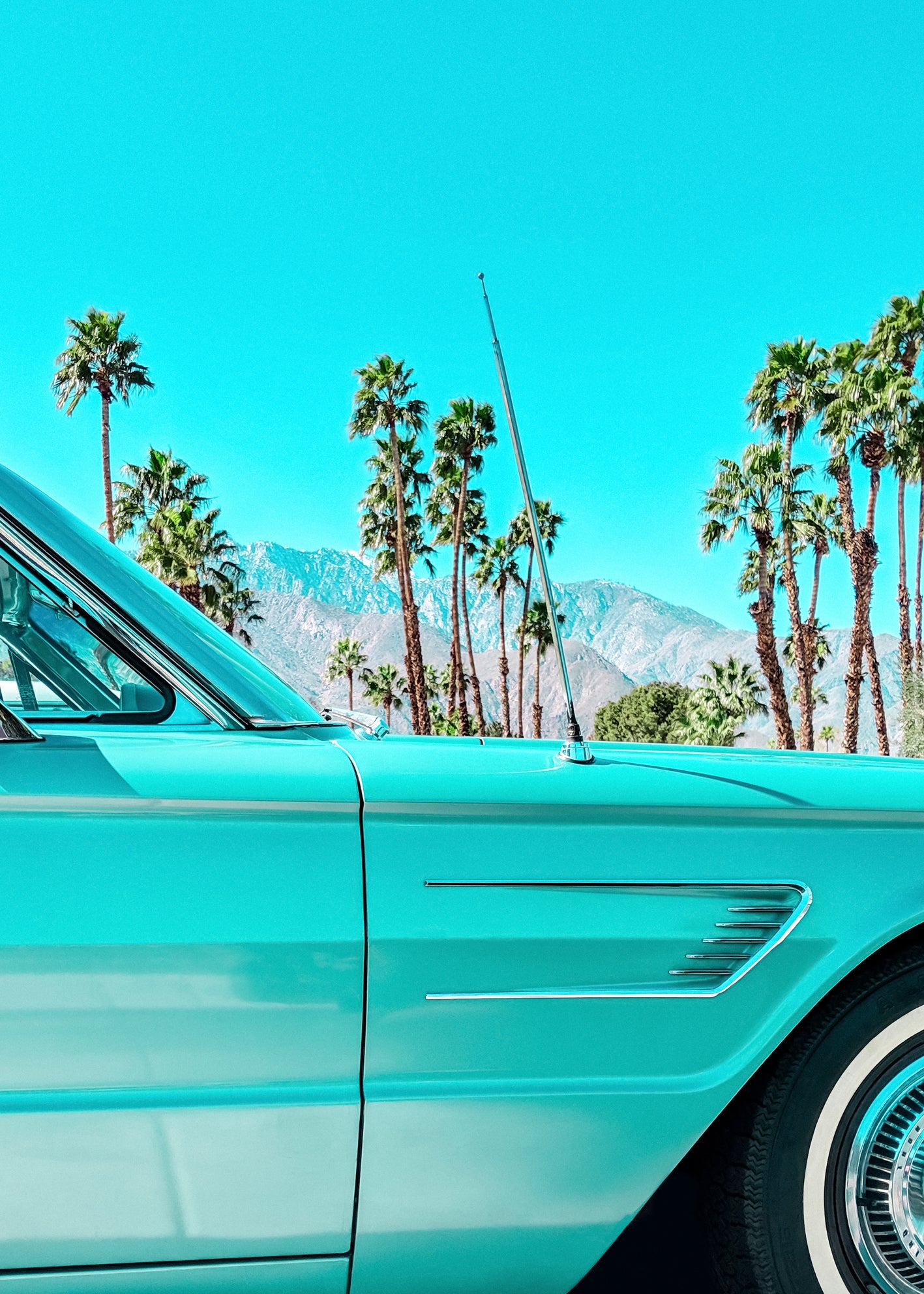 Canvastavla - Turquoise Classic