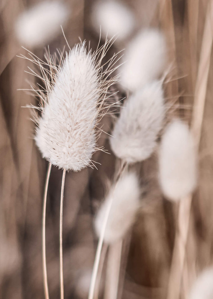 Canvastavla - Soft flowers