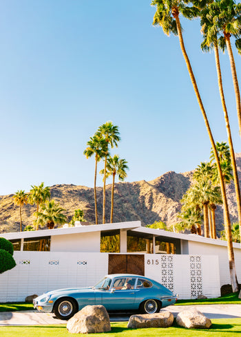 Canvastavla - Palm Springs Vibes
