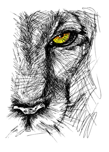Poster - A lion's eye