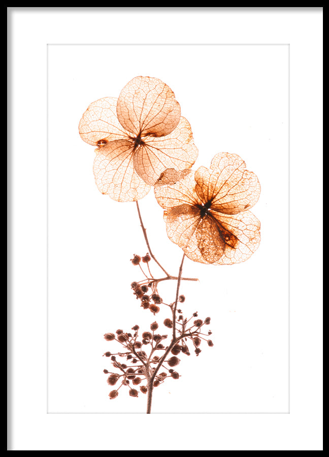 Poster - Orange flow