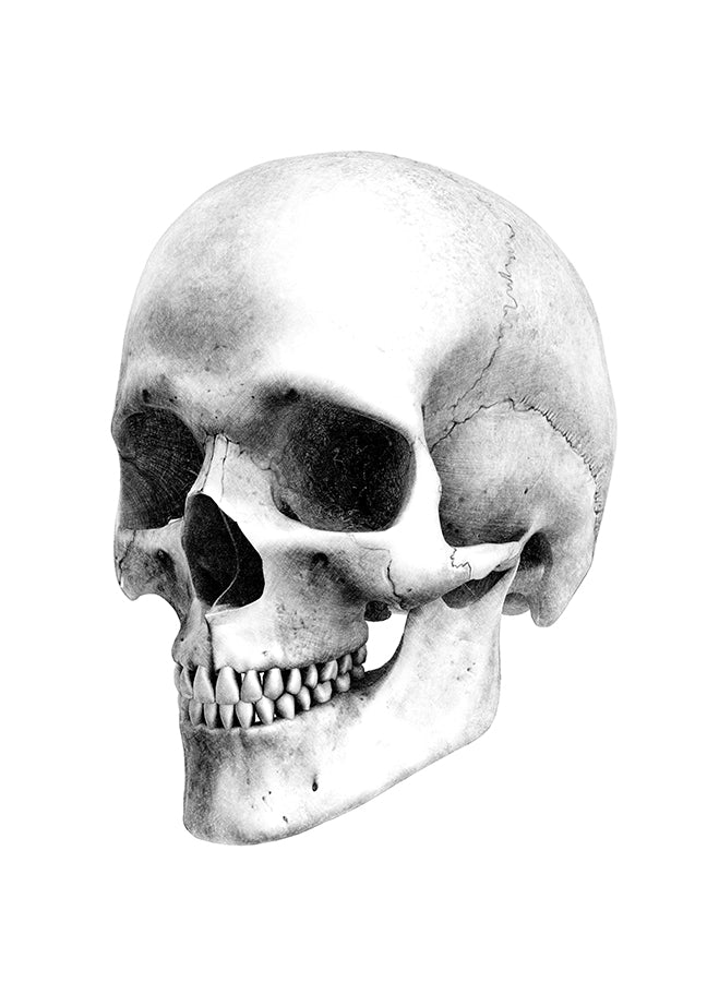 Poster - Skull