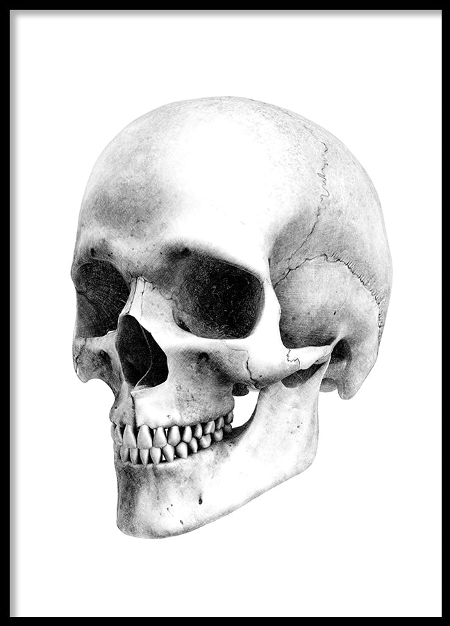 Poster - Skull