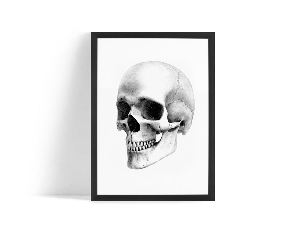 Poster - Skull