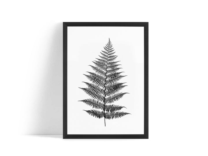 Poster - Fern