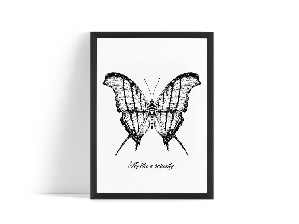 Poster - Butterfly