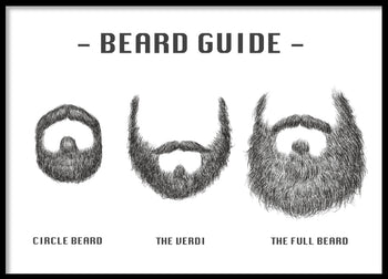 Poster - Beard Guide