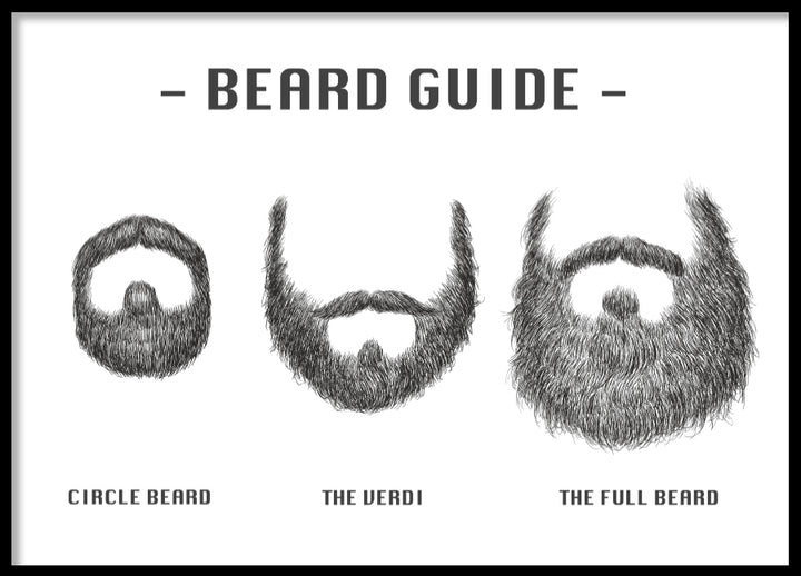 Poster - Beard Guide