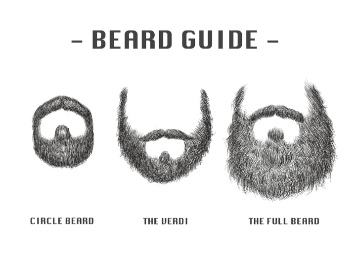 Poster - Beard Guide
