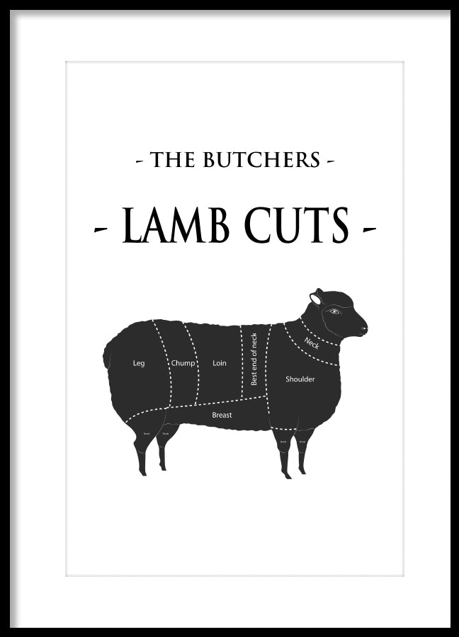 Poster - Lamb cuts