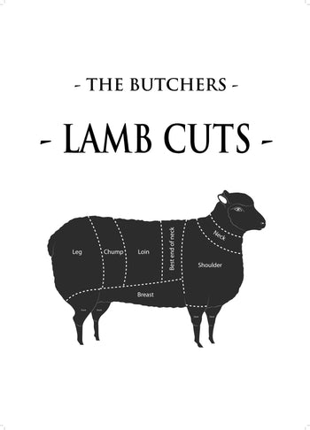 Poster - Lamb cuts
