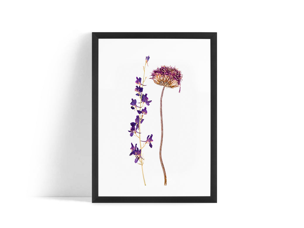 Poster - Dried flower