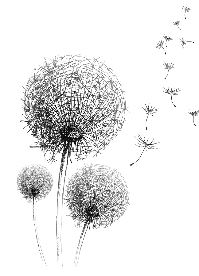 Poster - Dandelion