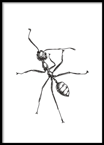 Poster - Ant