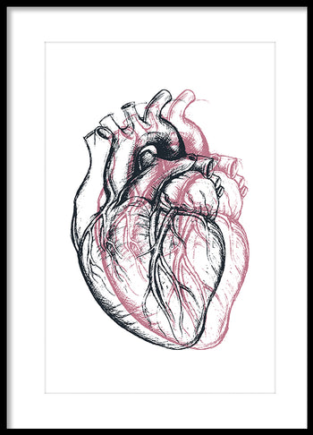 Poster - Heart