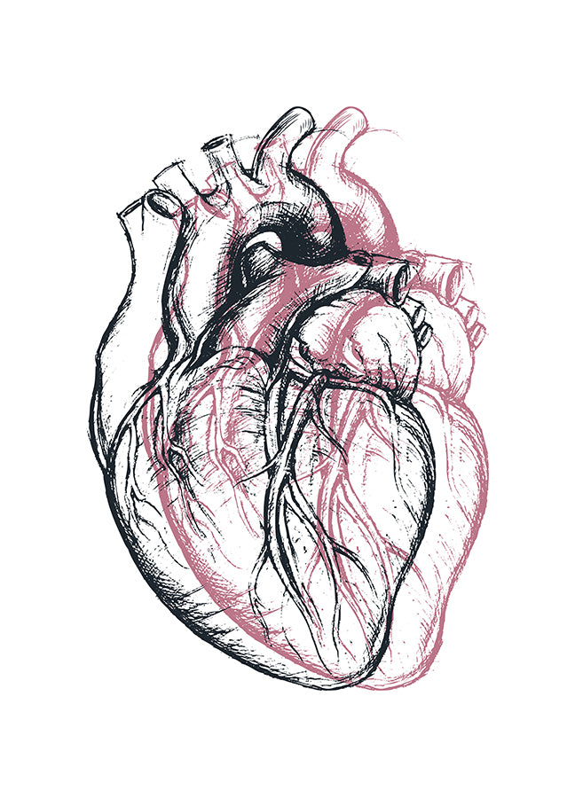Poster - Heart