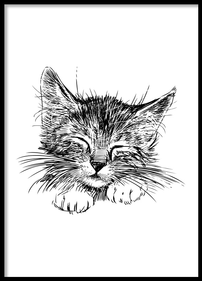 Poster - Cute cat