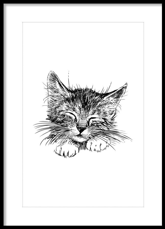 Poster - Cute cat