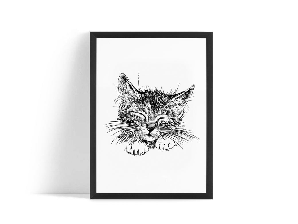 Poster - Cute cat