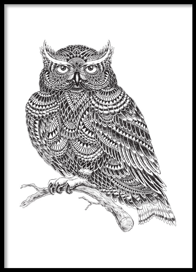 Poster - Owl