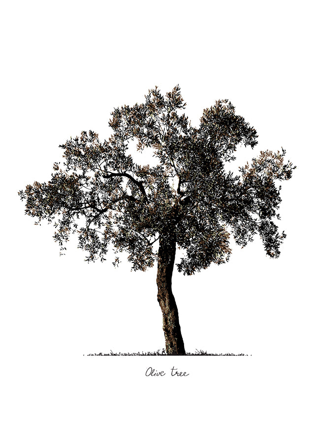 Poster - Tree