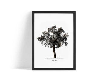 Poster - Tree