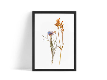 Poster - Dried flowers