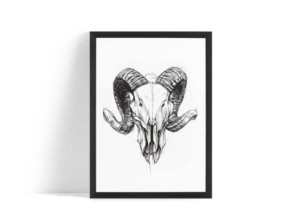Poster - Ram skull