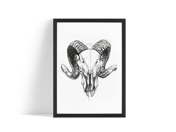Poster - Ram skull