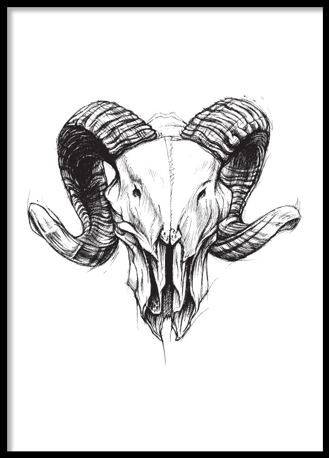 Poster - Ram skull