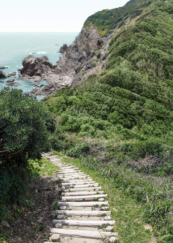 Canvastavla - Road to sea