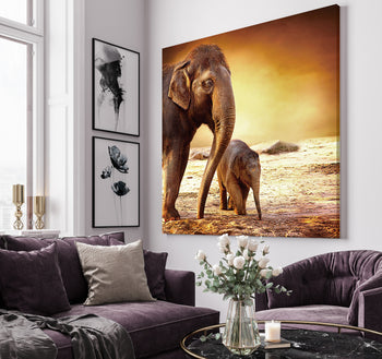 Canvastavla - Elephants