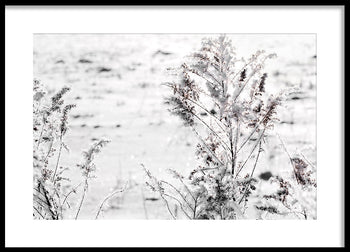 Poster - Snow Garden
