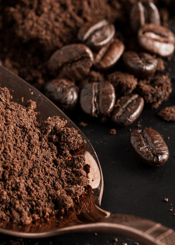 Canvastavla - Coffee Palette