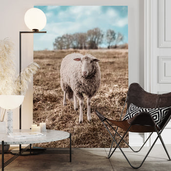 Tavla - Sheep