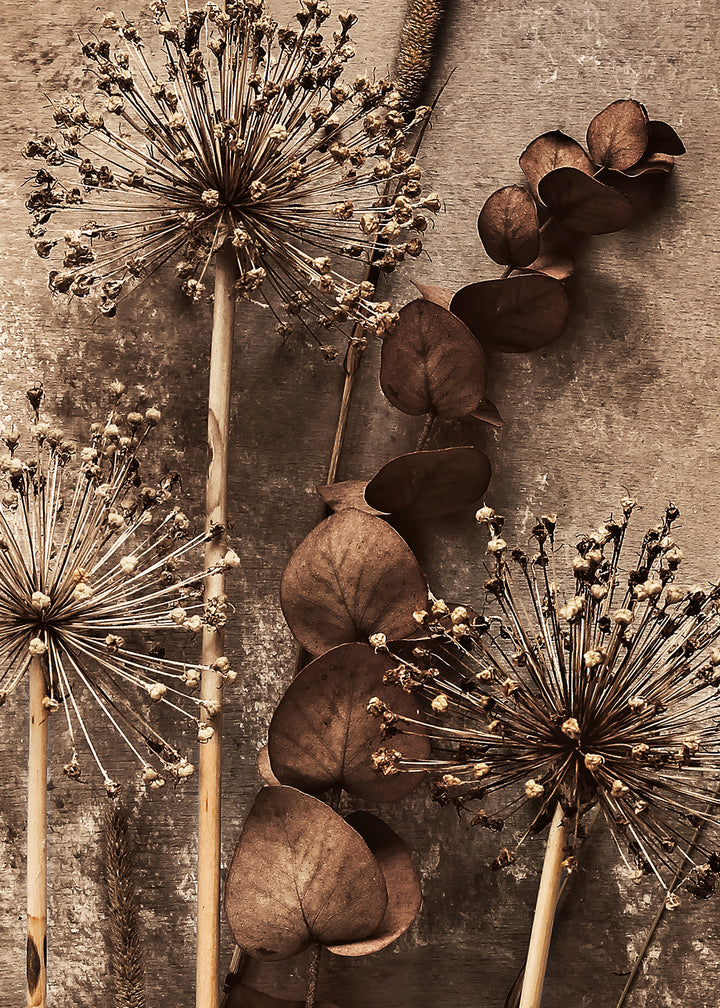 Canvastavla - Art of Flowers
