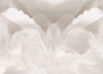 Canvastavla - Peony Magda