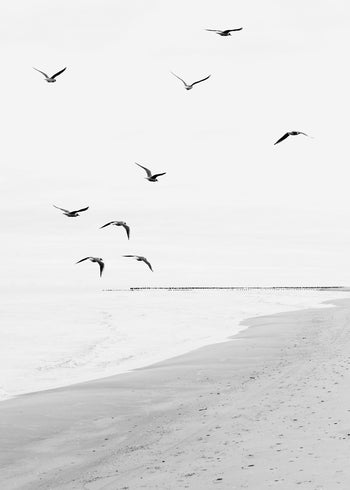 Canvastavla - Baltic Beach