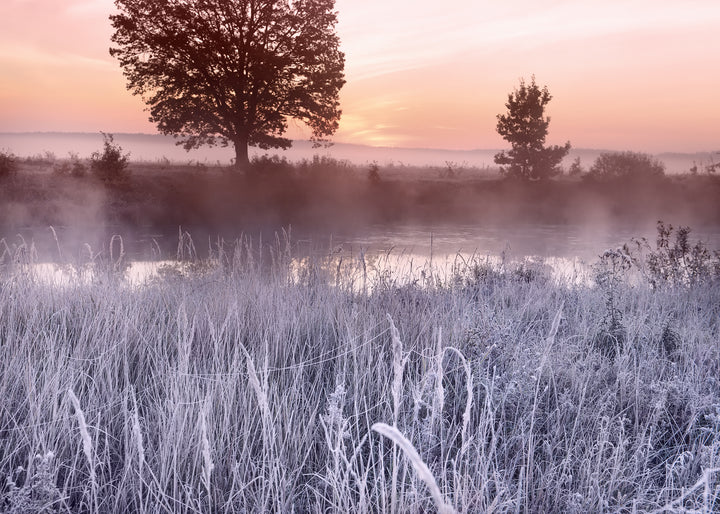 Canvastavla - Frost Glow
