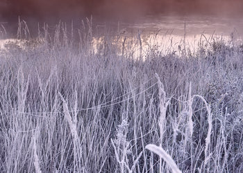 Canvastavla - Frost Glow