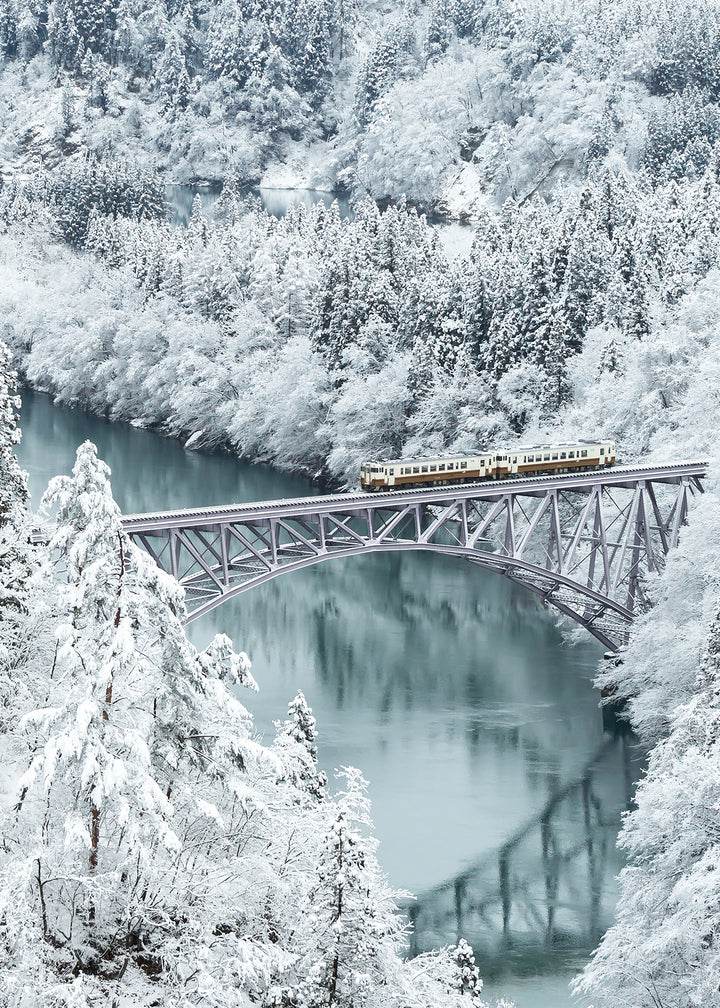 Ljuddämpande tavla - Train in Winter