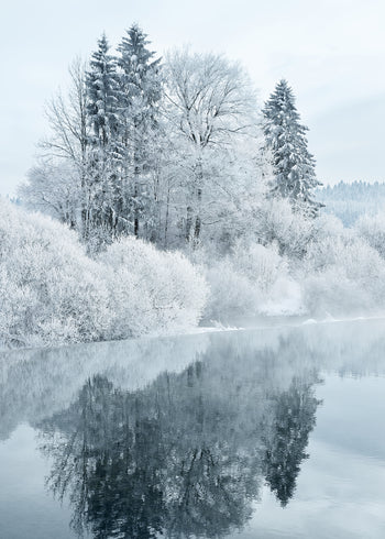 Ljuddämpande tavla - Coldness