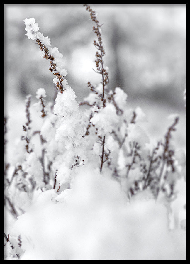 Poster - Winter Landscape