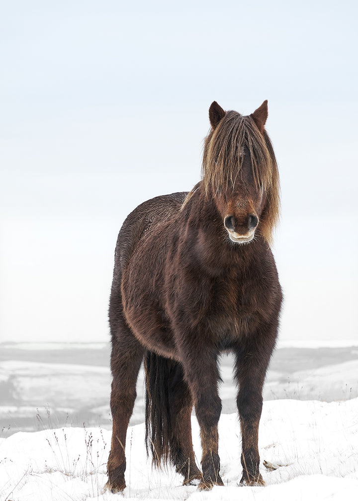 Juliste - Breathtaking Beaty