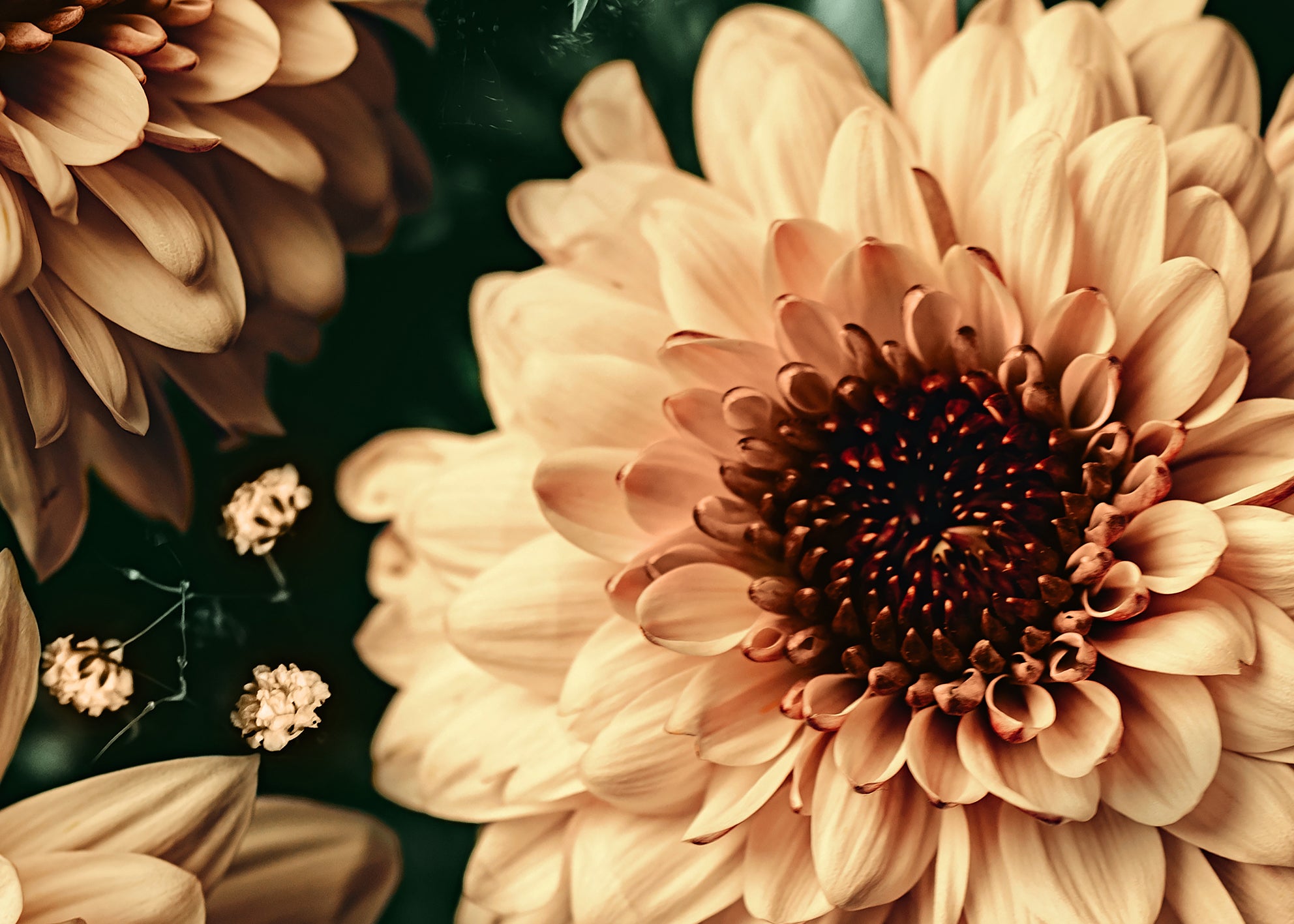 Canvastavla - Baroque Flowers