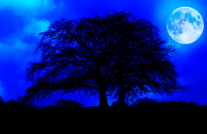 Canvastavla - Blue Night